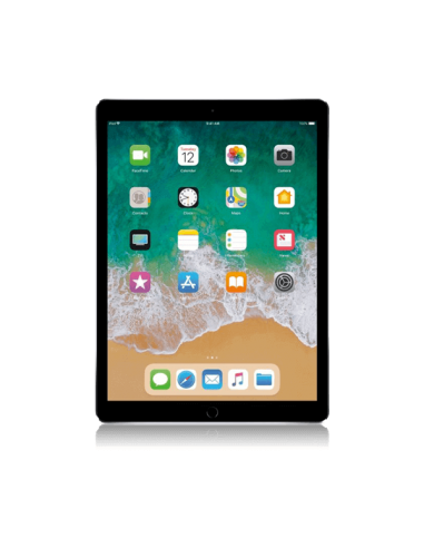 iPad Pro 12,9 . (A1670 A1671)